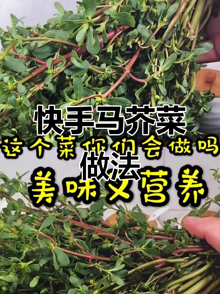 马芥菜拌饭下酒,简单又美味!
