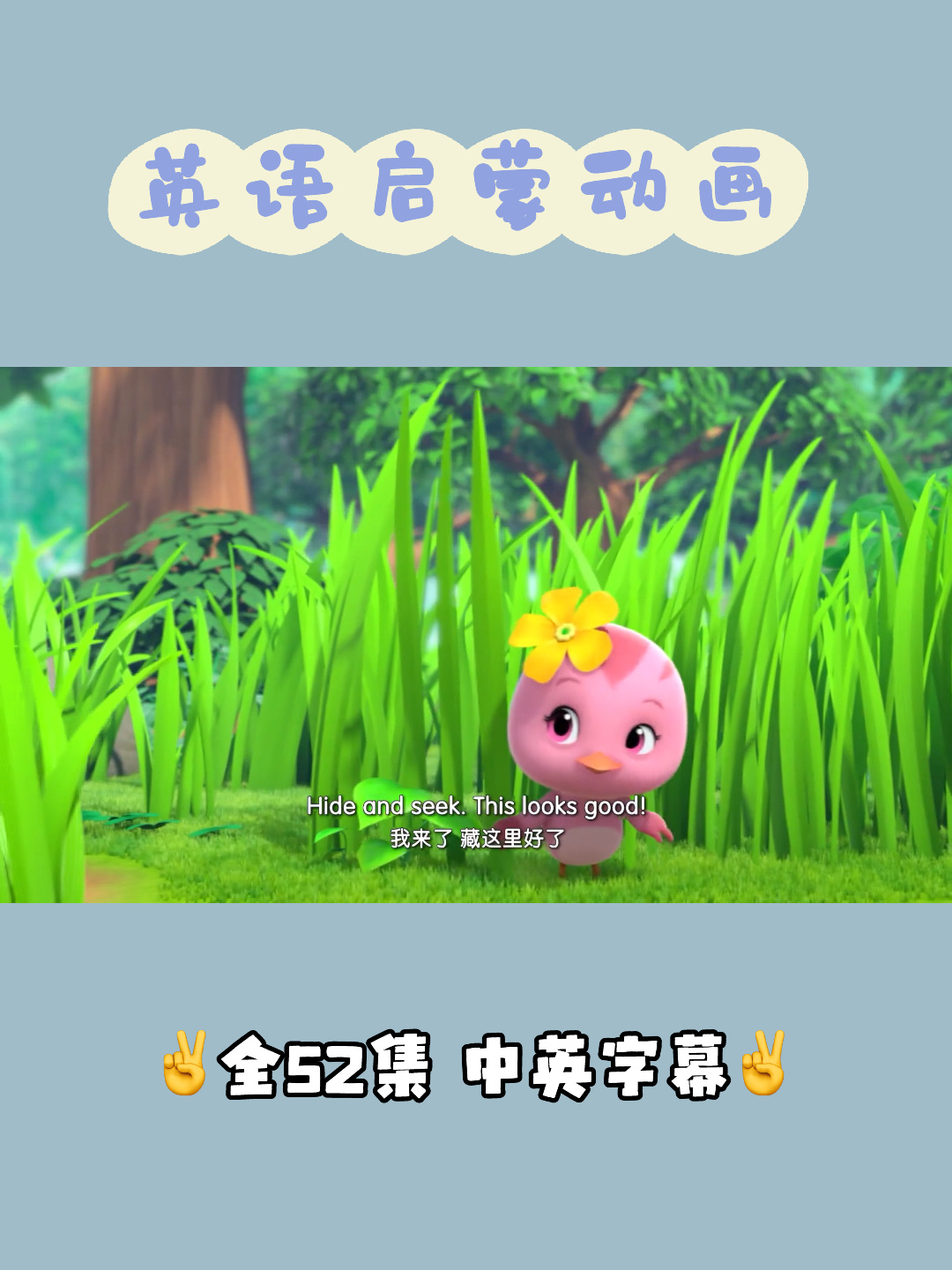 全52集 英语启蒙动画 中英字幕 萌鸡小队