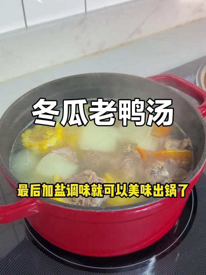 广东阴雨天必喝!冬瓜老鸭汤,做法简单又美味