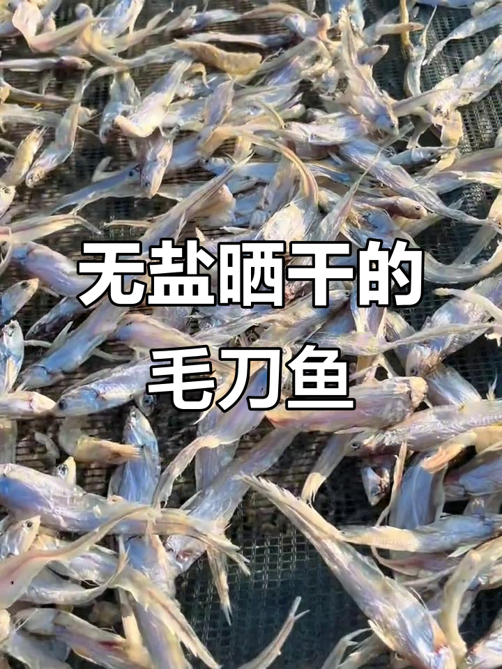 安徽寿县瓦埠湖毛刀鱼,自然晒干无盐更美味