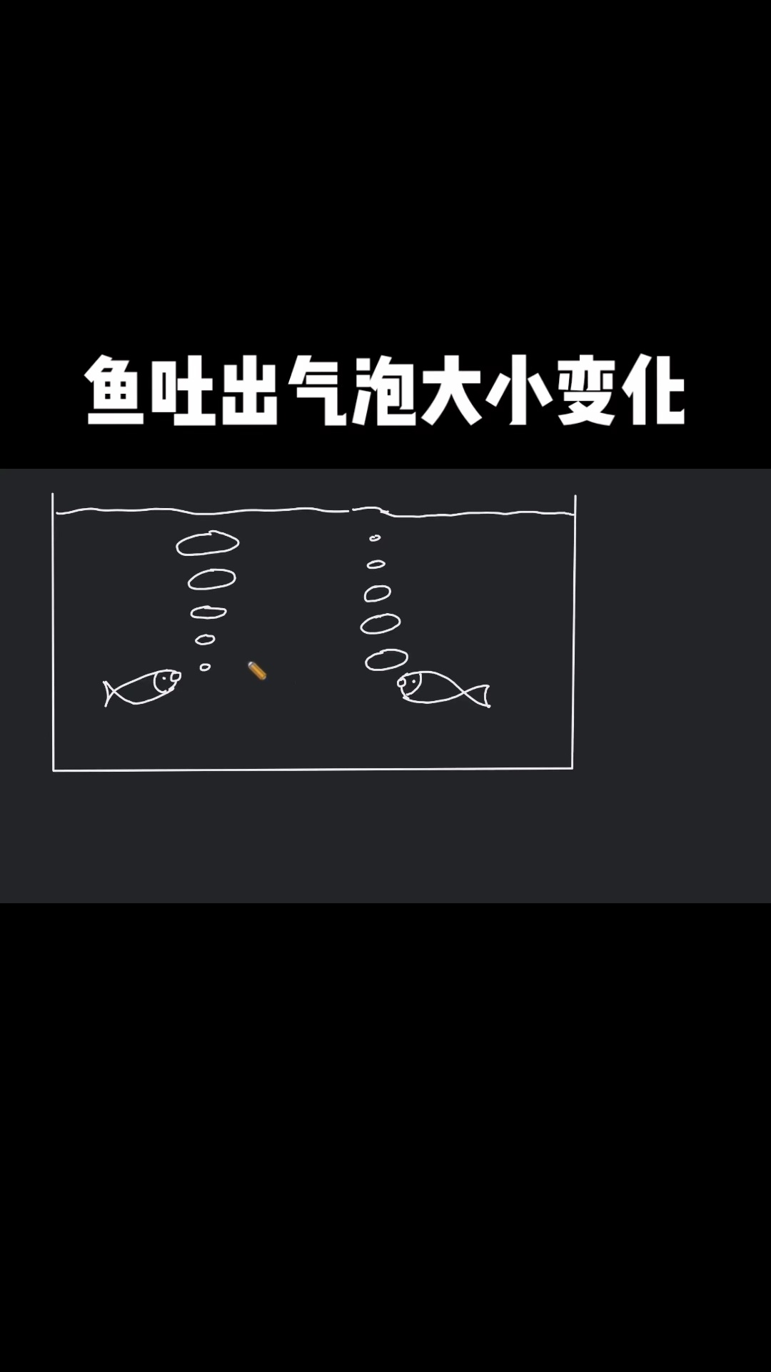 鱼吐气泡的大小怎么变化?