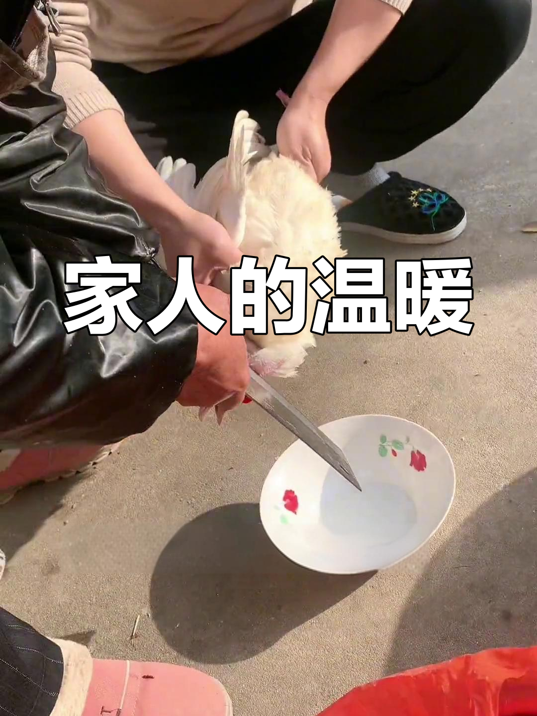 2023年,感谢爸妈帮助,白鸡献给老公,祝健康顺利!