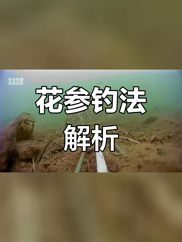 了解花参习性,提升钓鱼技巧