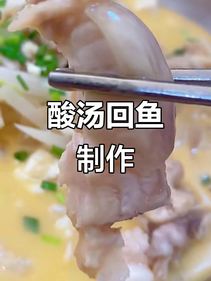 酸汤长江鮰鱼,鲜美开胃的独特做法