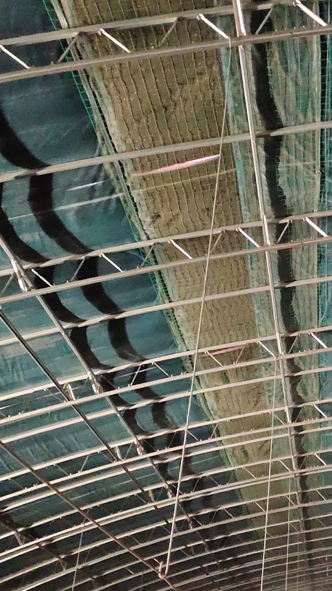 花粱焊接冬暖式蔬菜大棚,建设完成,想了解价格怎么建的的联系我