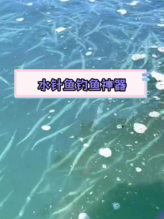 高效浮钓水针鱼组合,轻松捕获