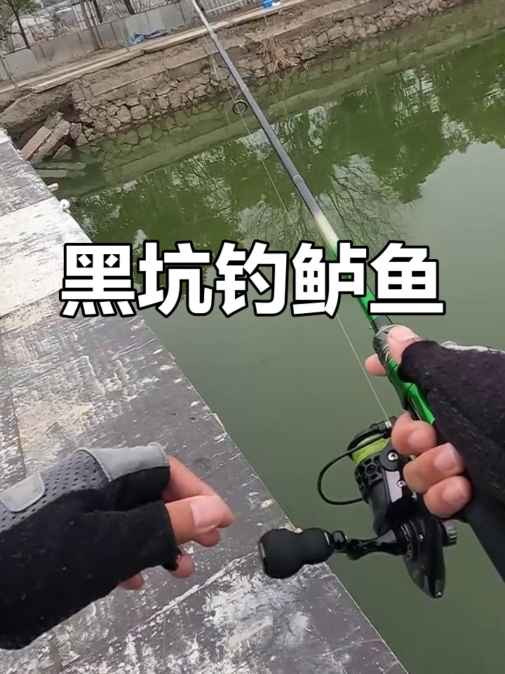 浅水鲈鱼正钓技巧