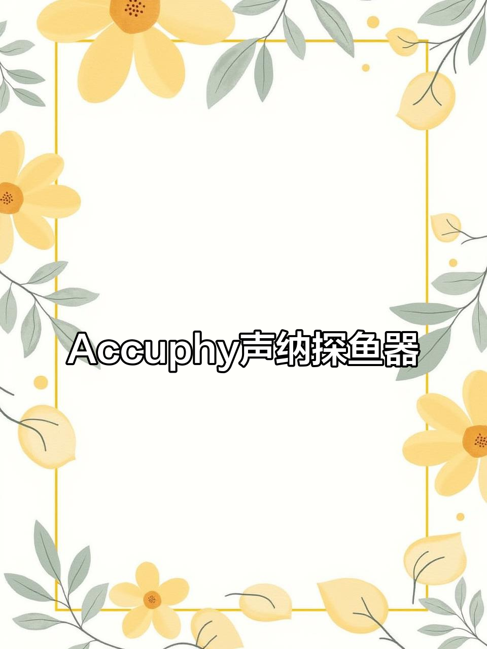 国产Accuphy声纳探鱼器：探头与发射器的完美搭配