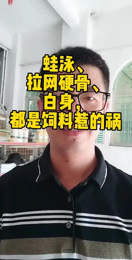 草鱼、青鱼蛙泳,加州鲈、生鱼、叉尾鮰硬骨白身 饲料 贫血 青鱼 草鱼 加州鲈 生鱼 硬骨白