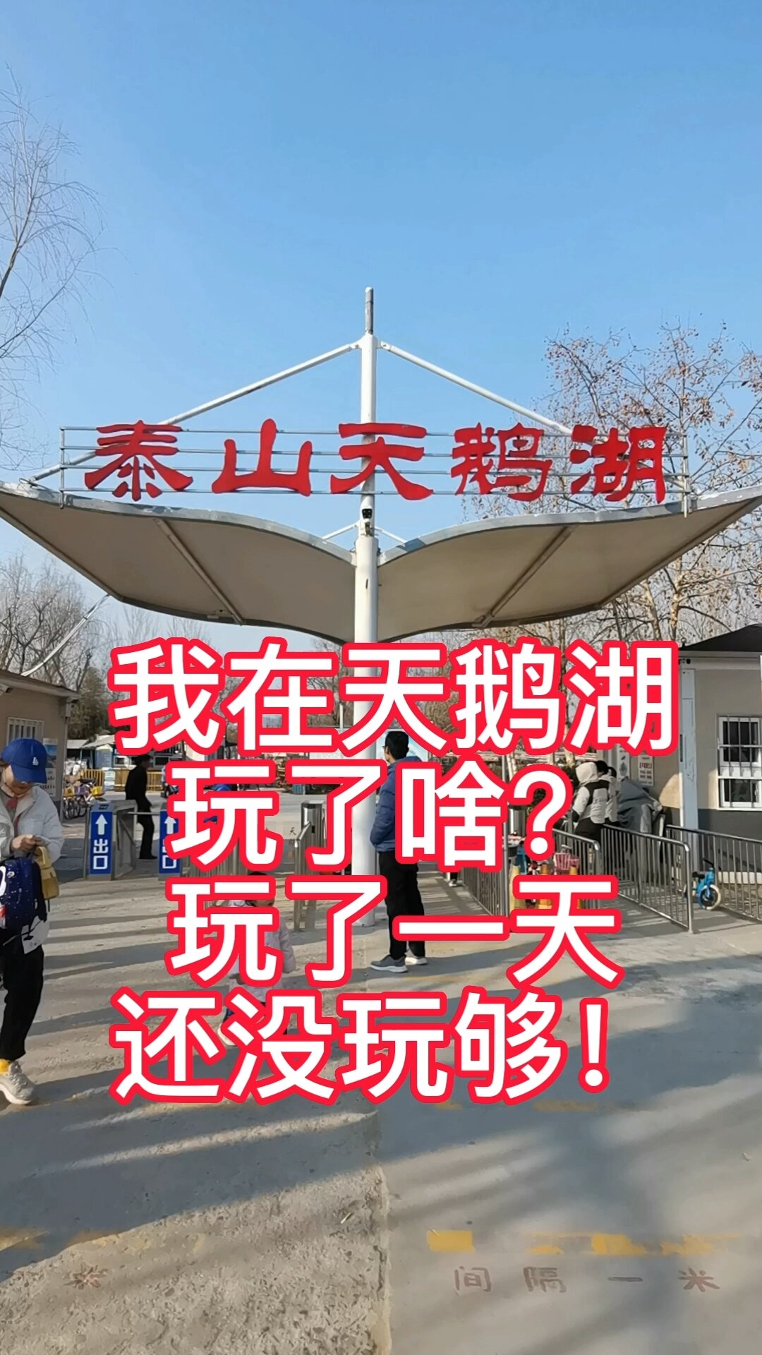 泰安天鹅湖游玩