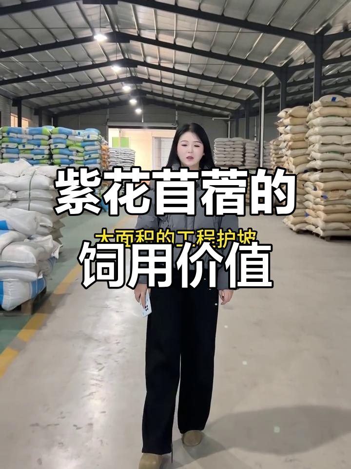 紫花苜蓿营养丰富,根系强健,是畜牧业的重要饲料来源