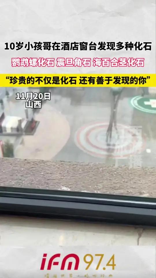 珍贵的不仅是化石,还有善于发现的你 古生物化石 小孩哥 兴趣是最好的老师