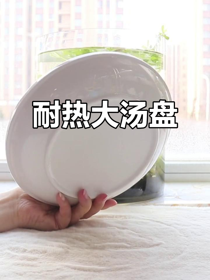 加厚陶瓷汤盘,适合盛装浓稠菜肴,高温烧制更耐用