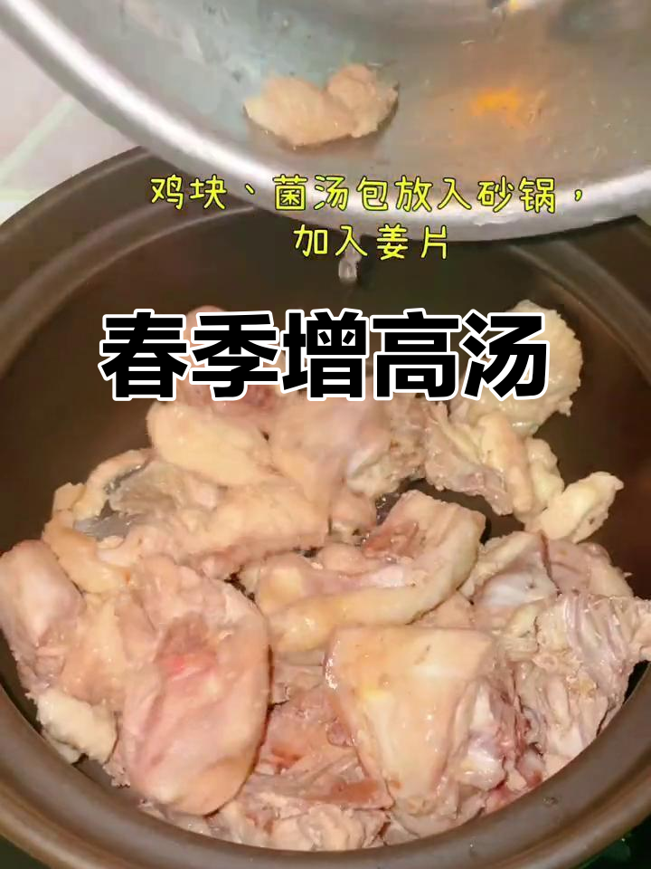 春季助长高，松茸鸡汤简单又营养，快给孩子安排上！