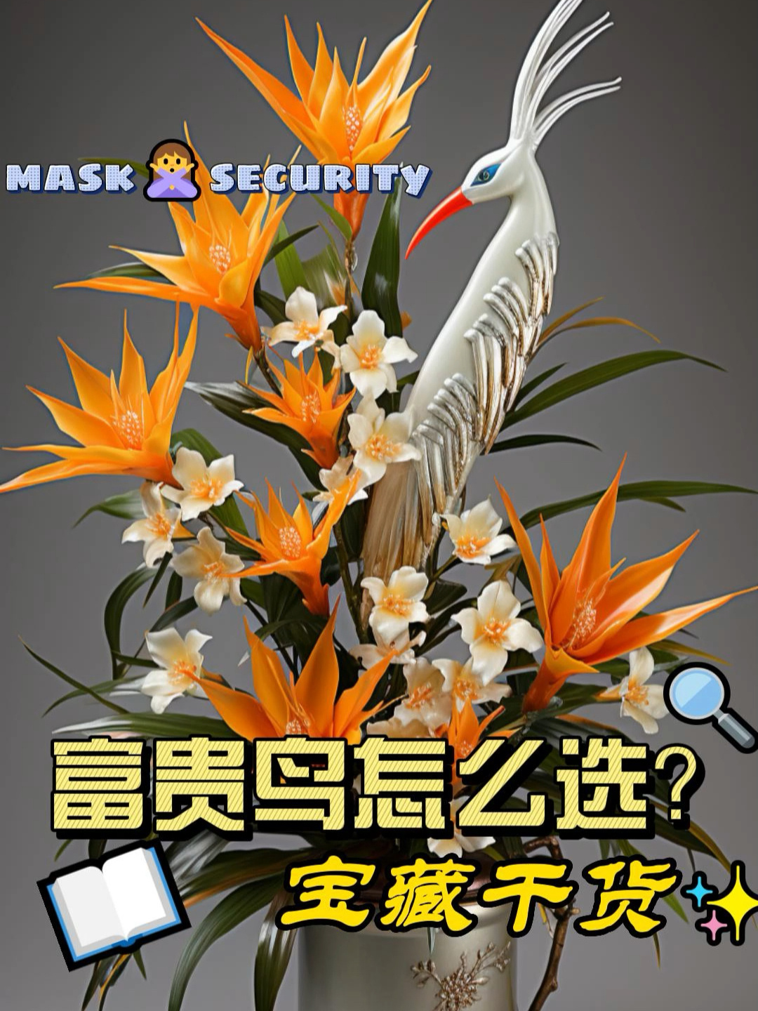 富贵鸟绿植:生活的繁荣与美好