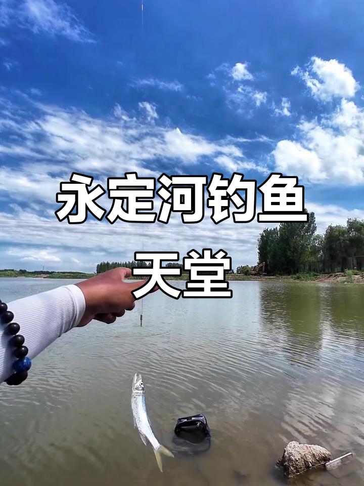 北京1小时直达钓点,马口鲫鱼成群!