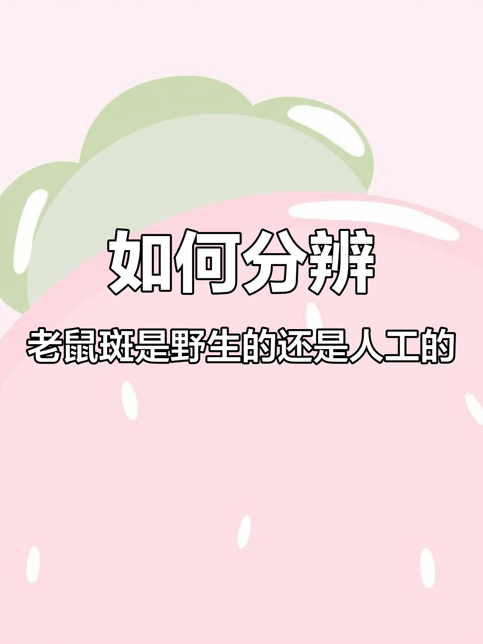 野生老鼠斑与养殖的区别,如何辨别真伪