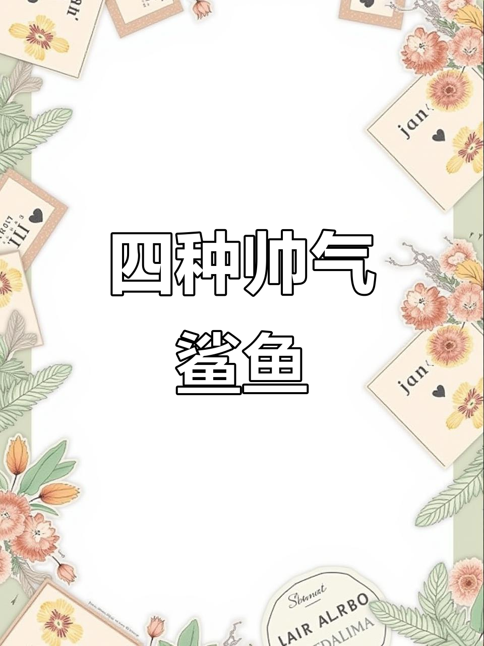 鲨鱼家族大揭秘：四种最帅鲨鱼的秘密