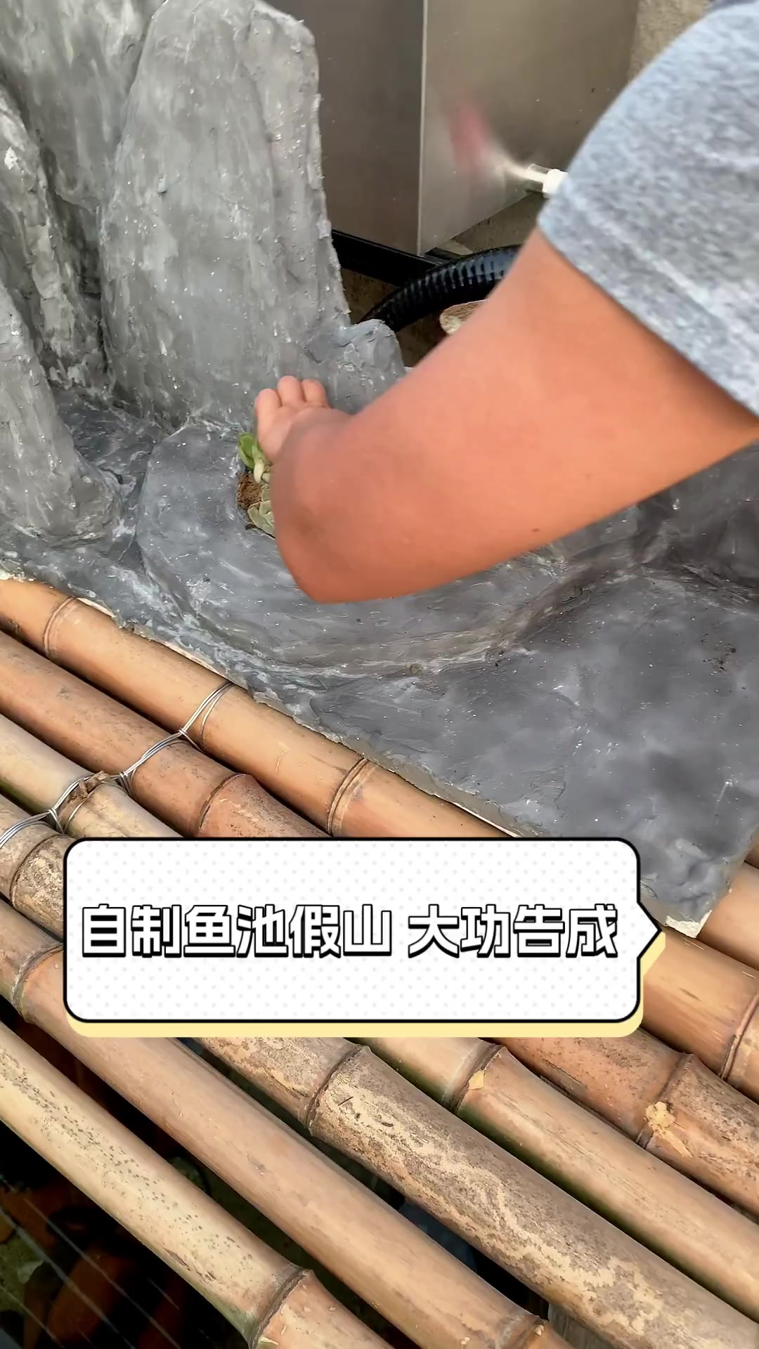 自制鱼池假山,大功告成