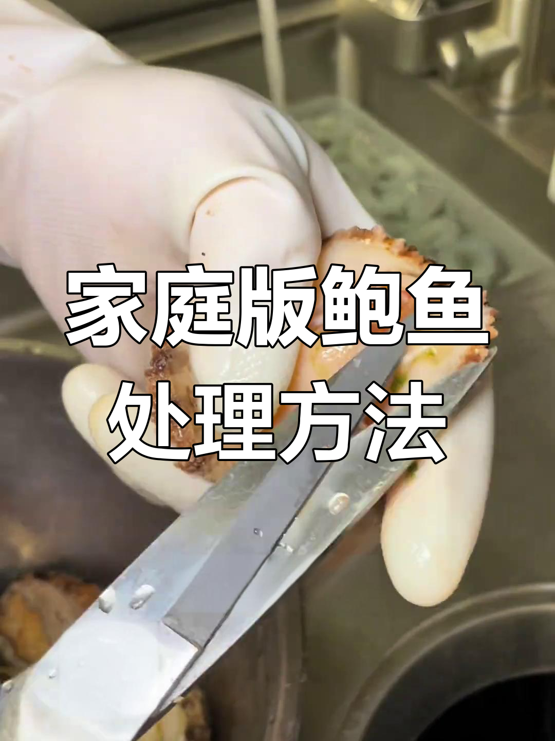 如何在家轻松处理鲍鱼,六头鲍的正确做法揭秘
