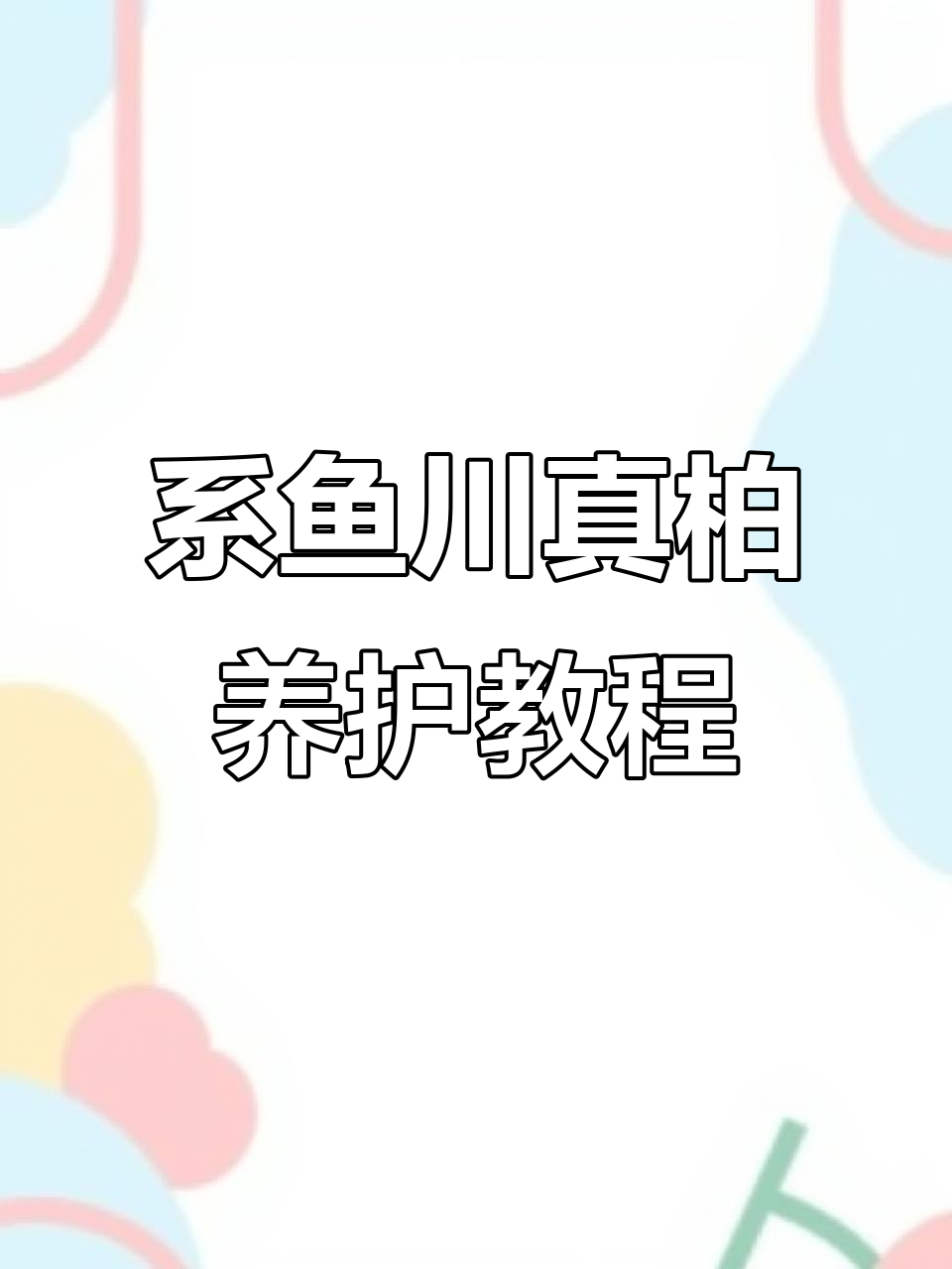 拆解系鱼川真柏素材,养护技巧大揭秘