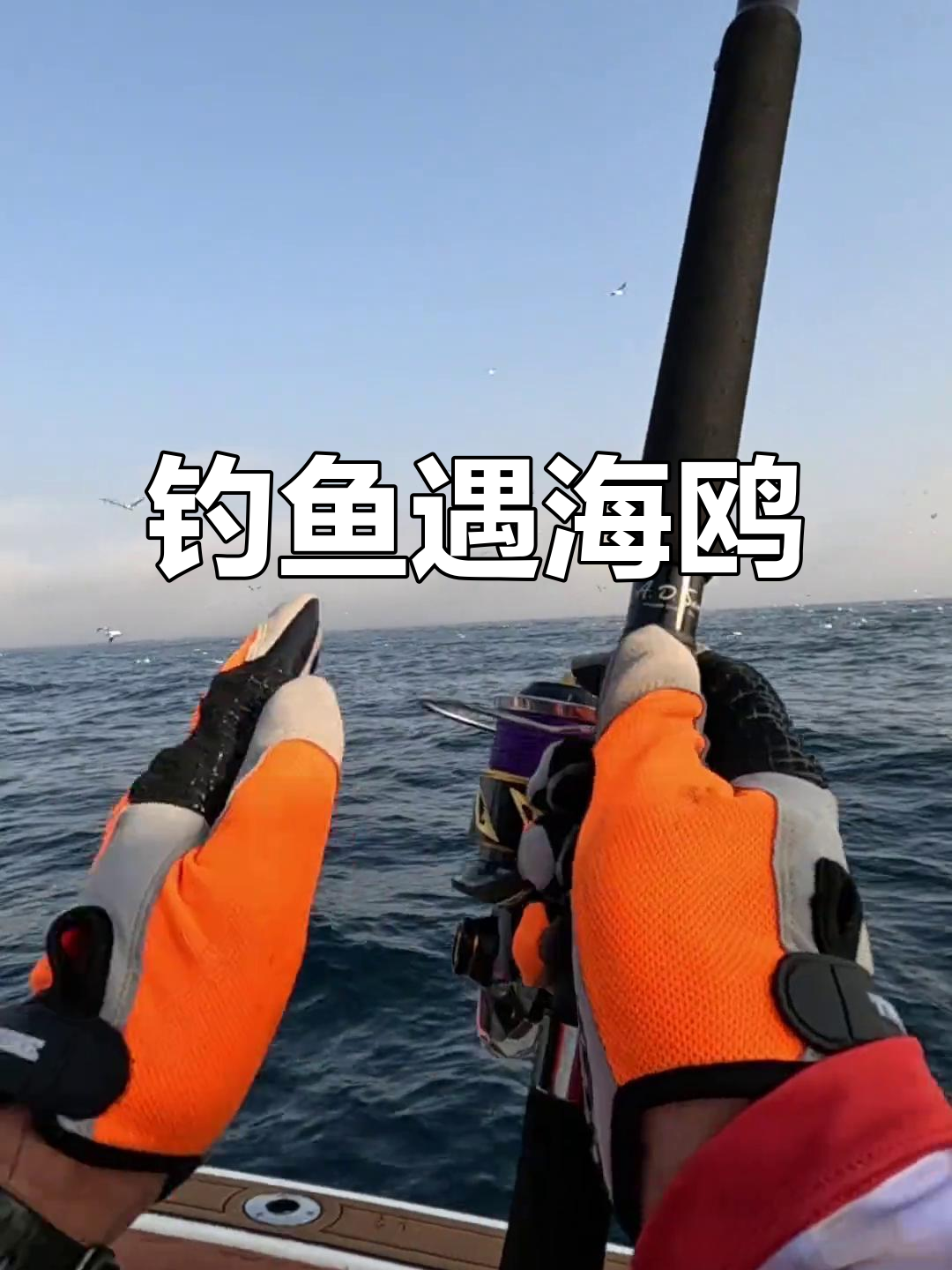 海钓遇到鸟,鱼线被挂断!