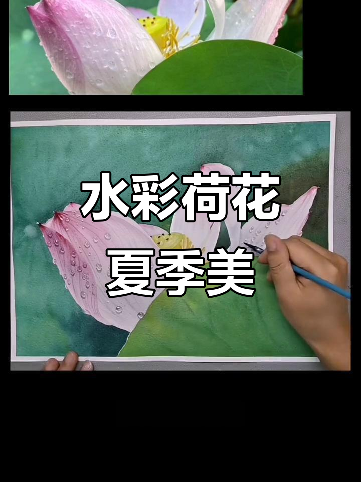 夏日荷花水彩画,清新美丽让人爱不释手