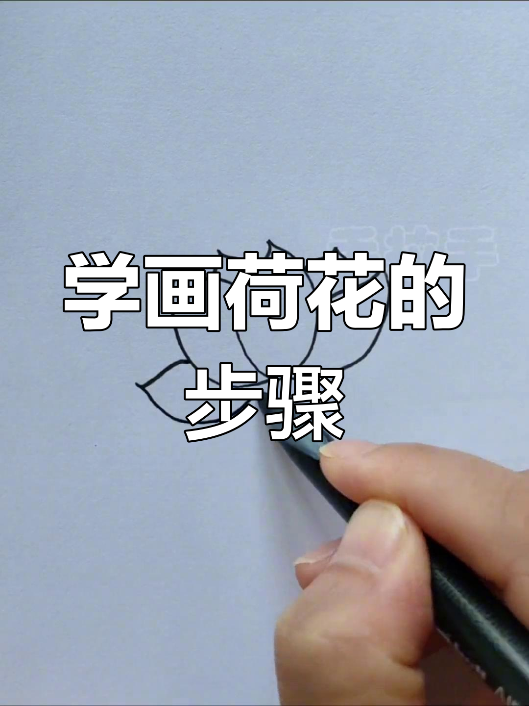 轻松学画荷花,掌握马克笔技巧