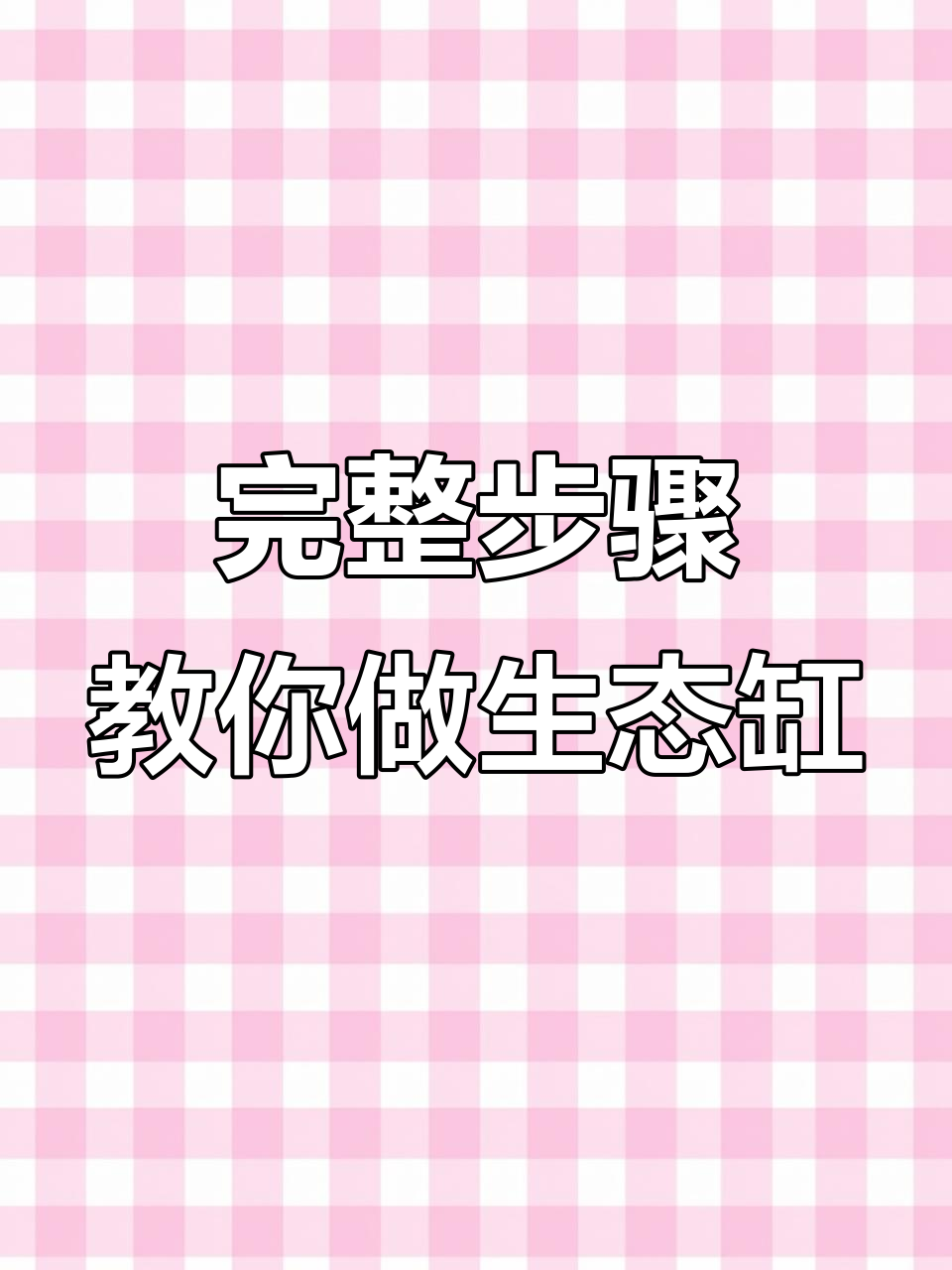 鱼缸造景全攻略，打造完美生态缸