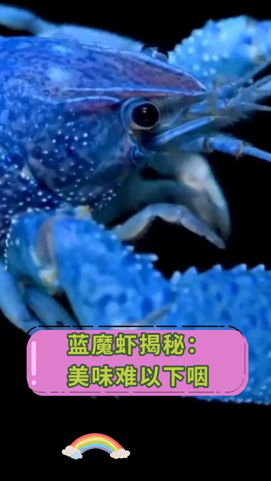 蓝魔虾揭秘:美味难以下咽