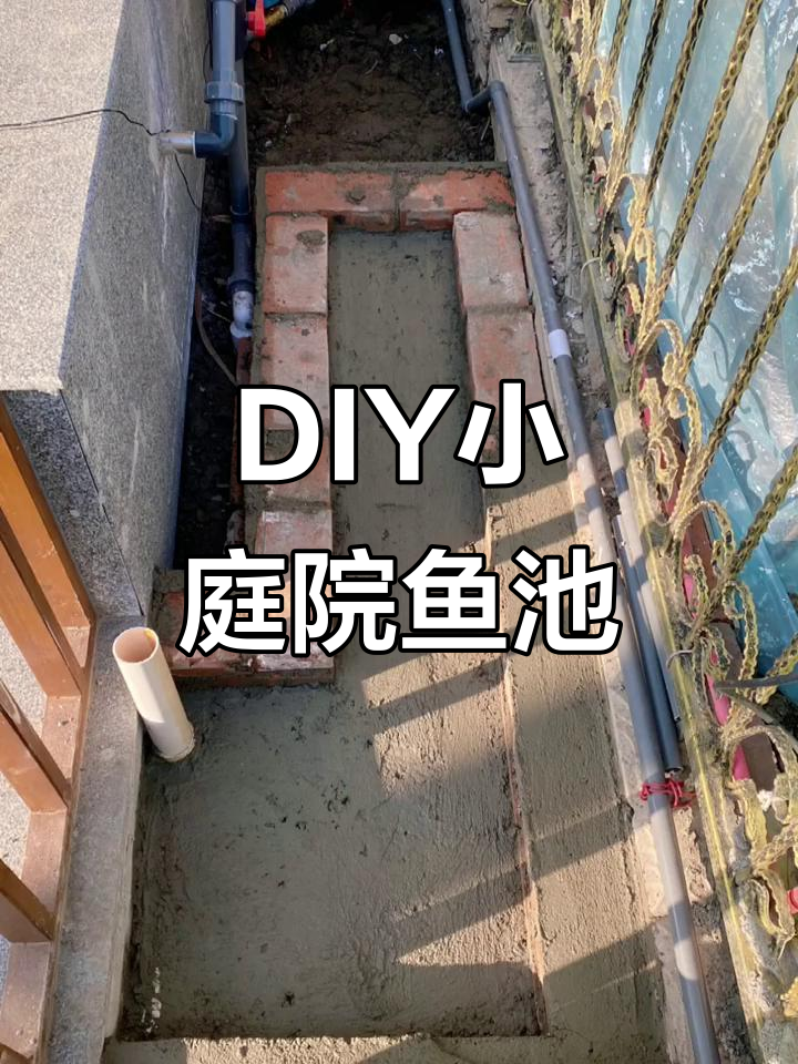 有限空间巧用滴滤,DIY打造个性化鱼池设计