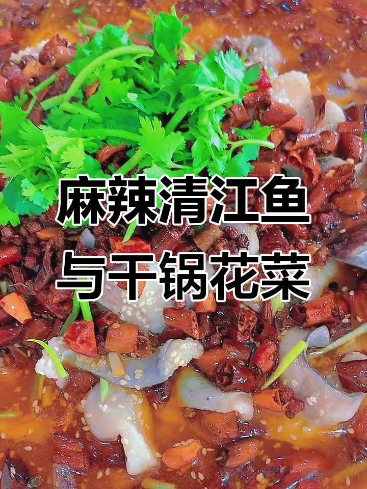 清江鱼做麻辣酸菜,干锅花菜搭配更美味