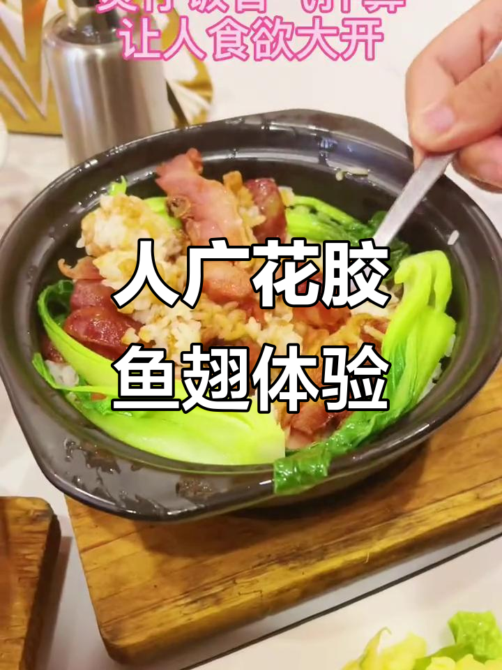 上海人广附近花胶鱼翅大餐,人均60+超值美味