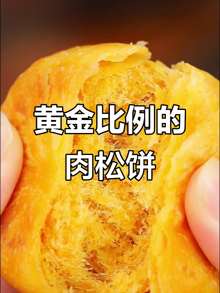 友臣肉松饼，咸香绵密口感让人停不下来