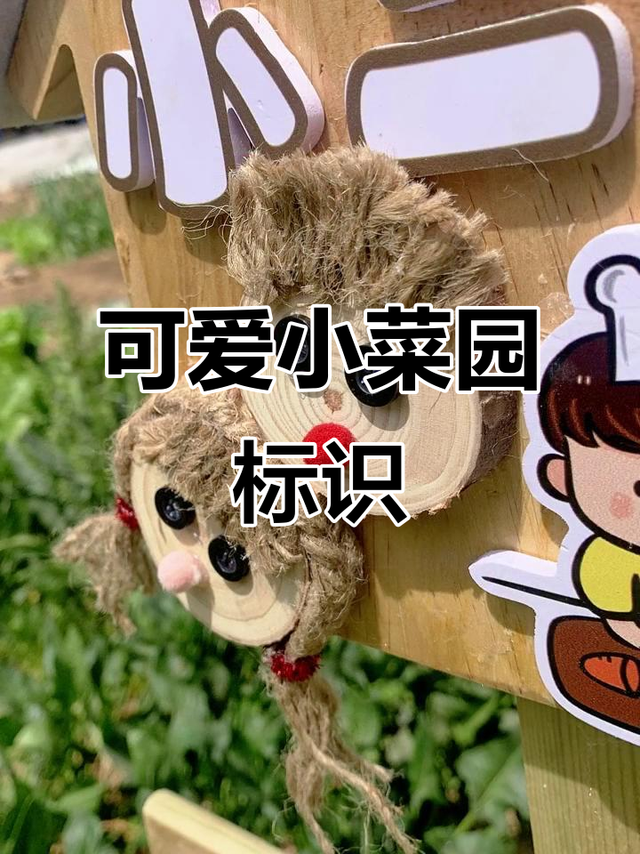 小菜园指示牌,创意手工打造可爱装饰