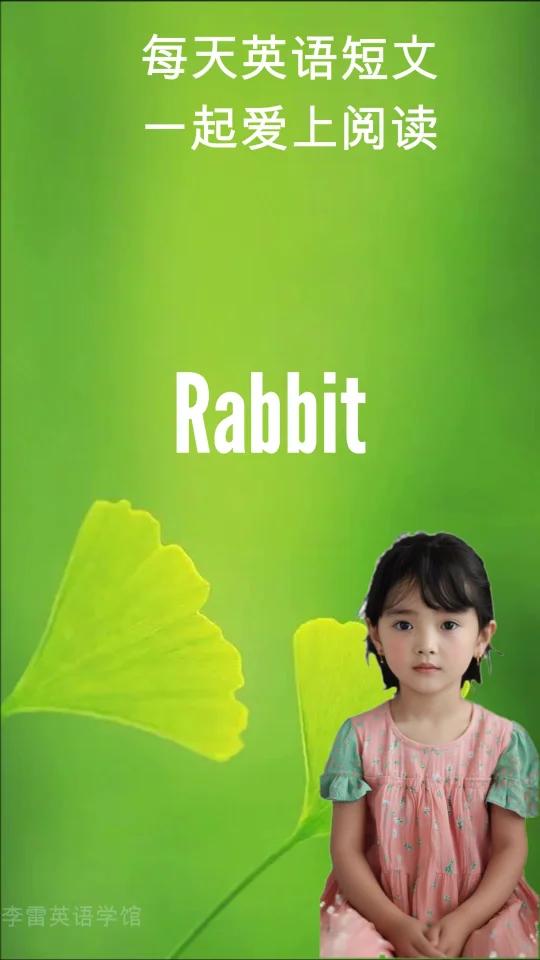 Rabbit This is a rabbit, It has a fluffy shor