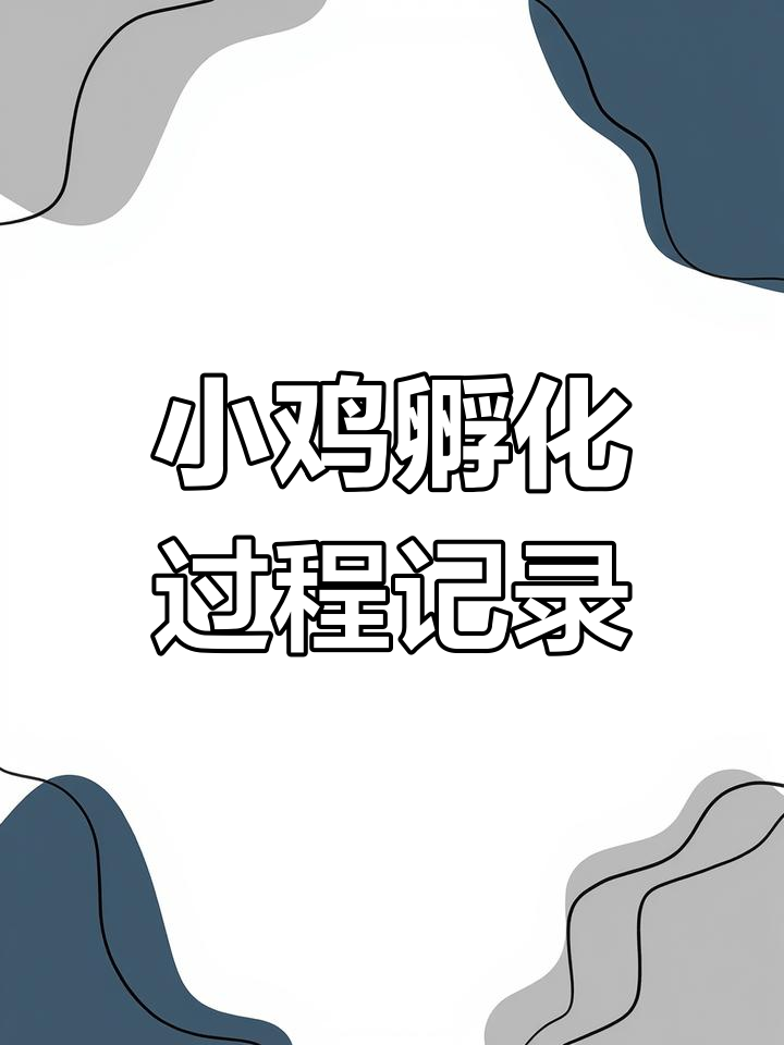 孵小鸡三天,照蛋频率调整后的变化