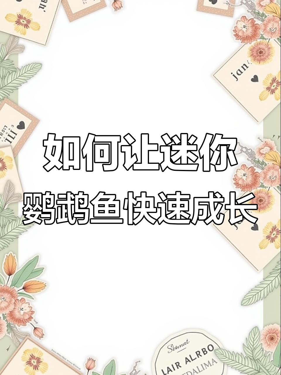 迷你鹦鹉鱼苗养殖技巧:水温、水体与换水的关键