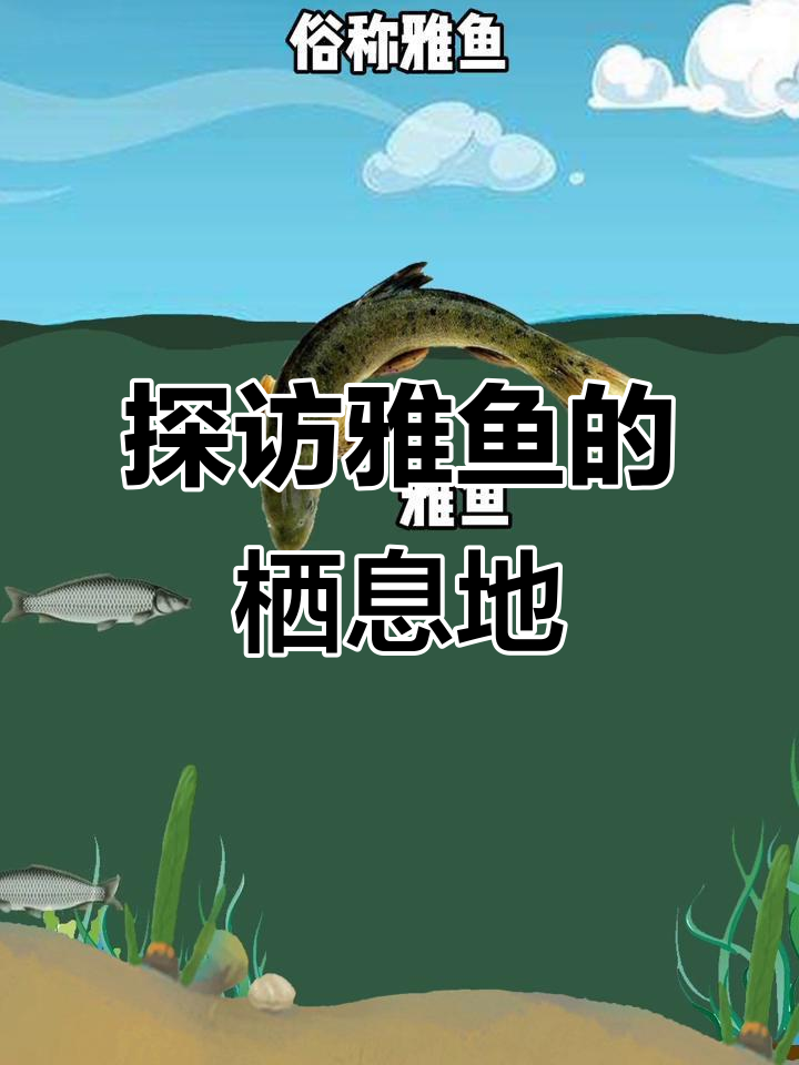 雅鱼：青衣江特产，直食性鲤科鱼类揭秘