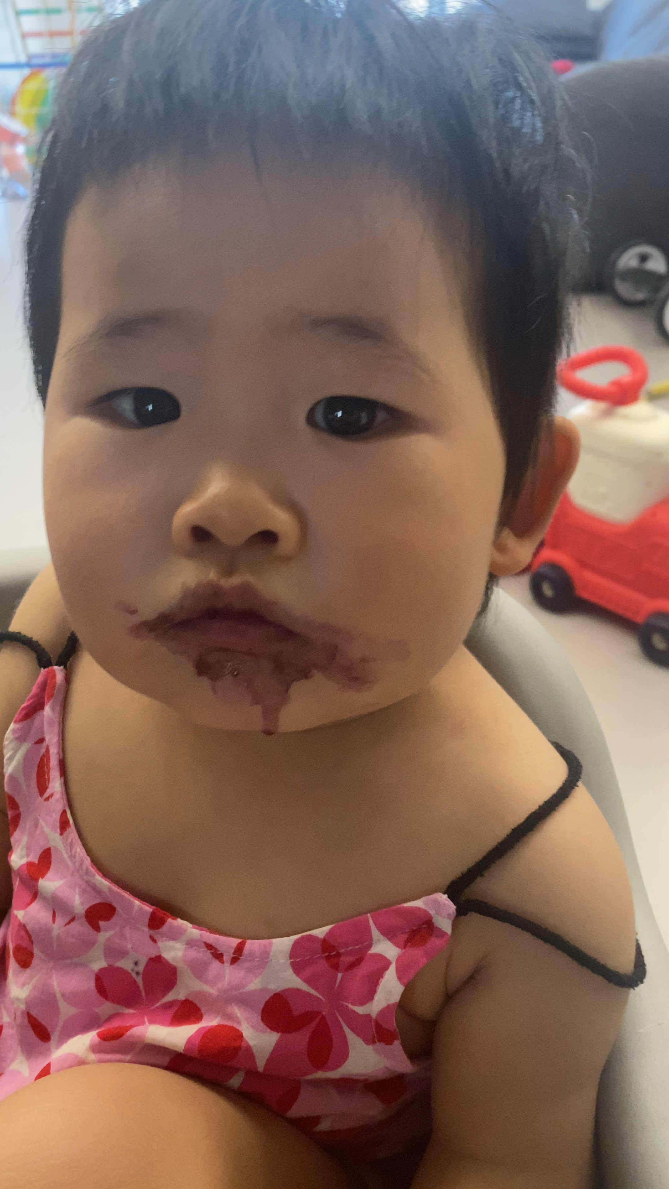 小鱼儿吃桑葚的可爱画面