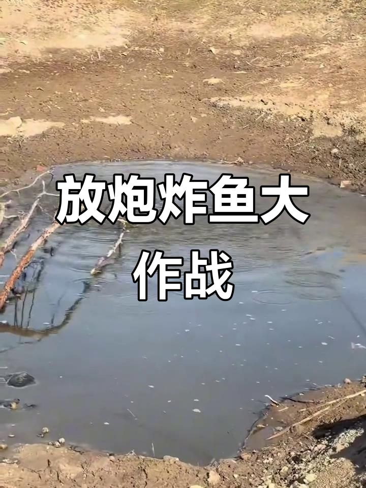 过年放炮炸鱼,战术指导来袭!