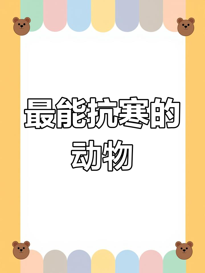 北极鸭:最耐寒的鸟类