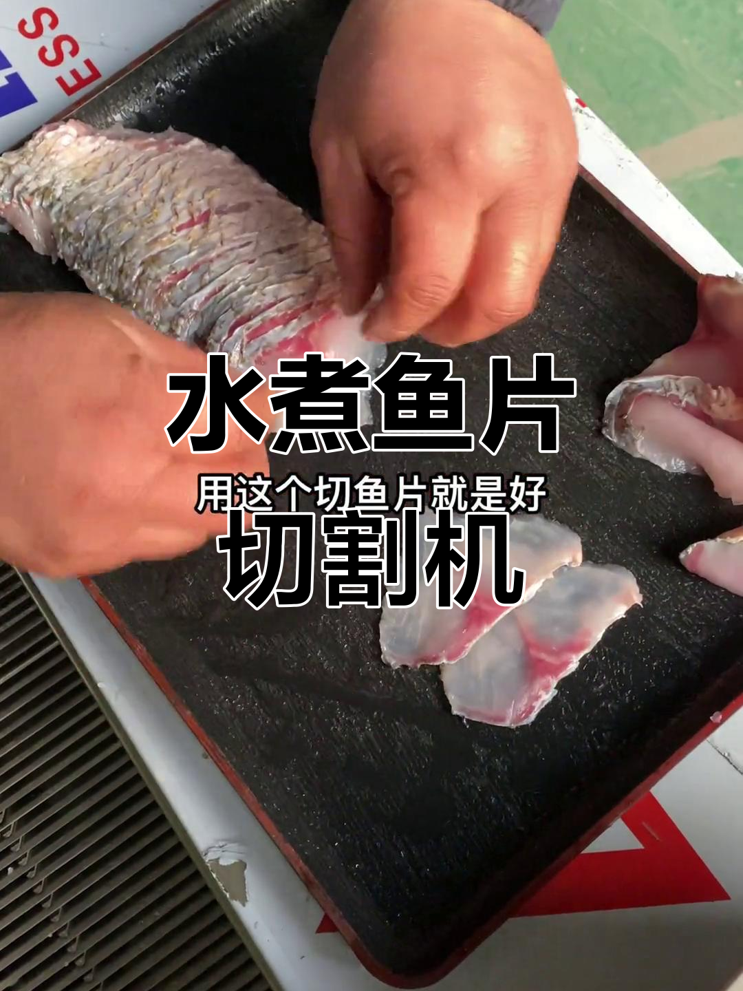 斜切鱼片机,轻松搞定水煮鱼切片