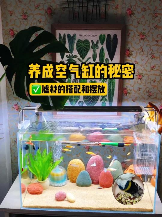 滤材的配置和摆放,是养成空气缸的关键!