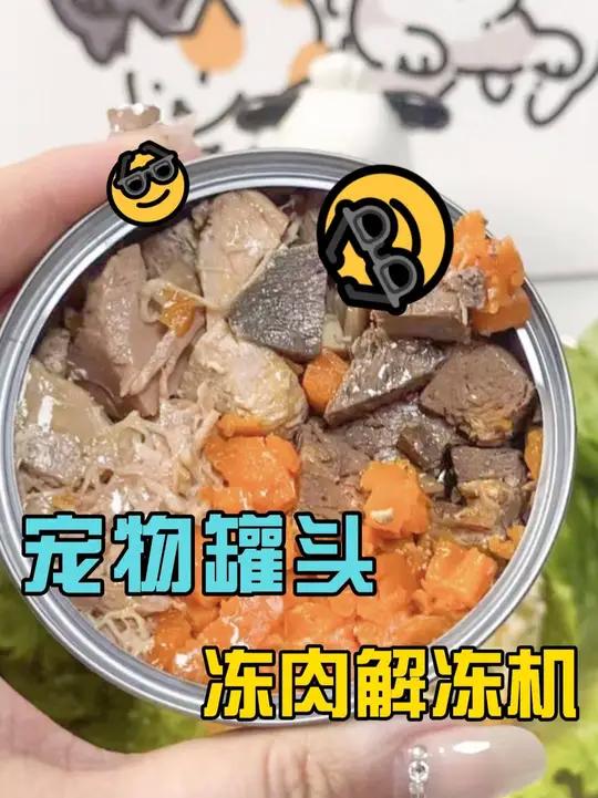 宠物肉泥罐头加工冻肉解冻机!