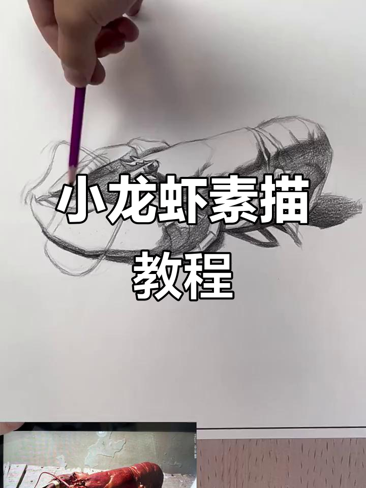 素描小龙虾,细节决定成败!