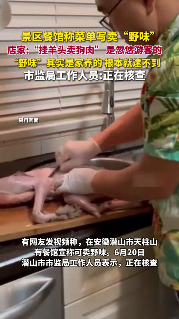 景区餐馆菜单写卖“野味”,店家称其实是“挂羊头卖狗肉”,市监局回应