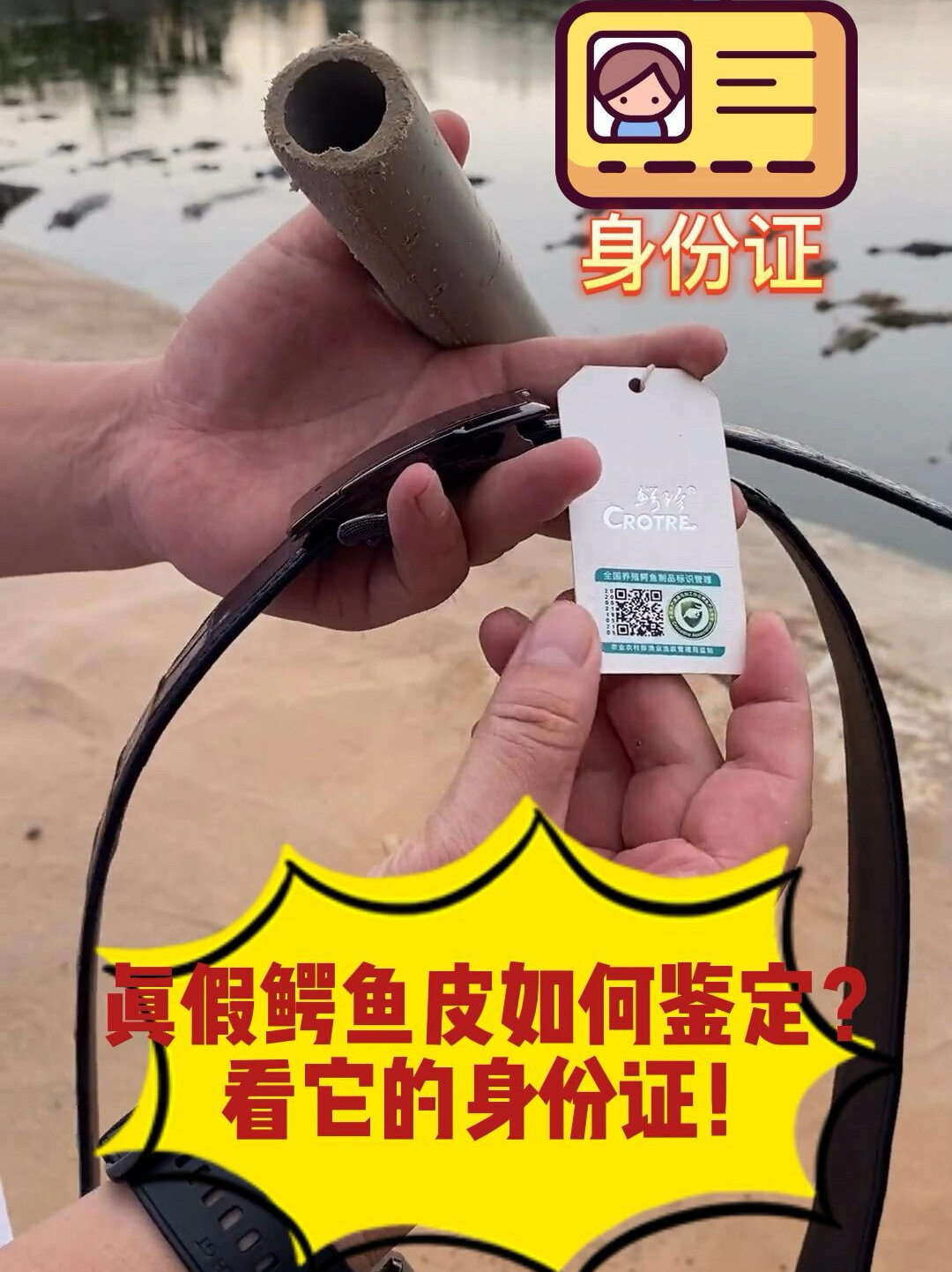真假鳄鱼皮如何鉴定?看它的身份证就行了!