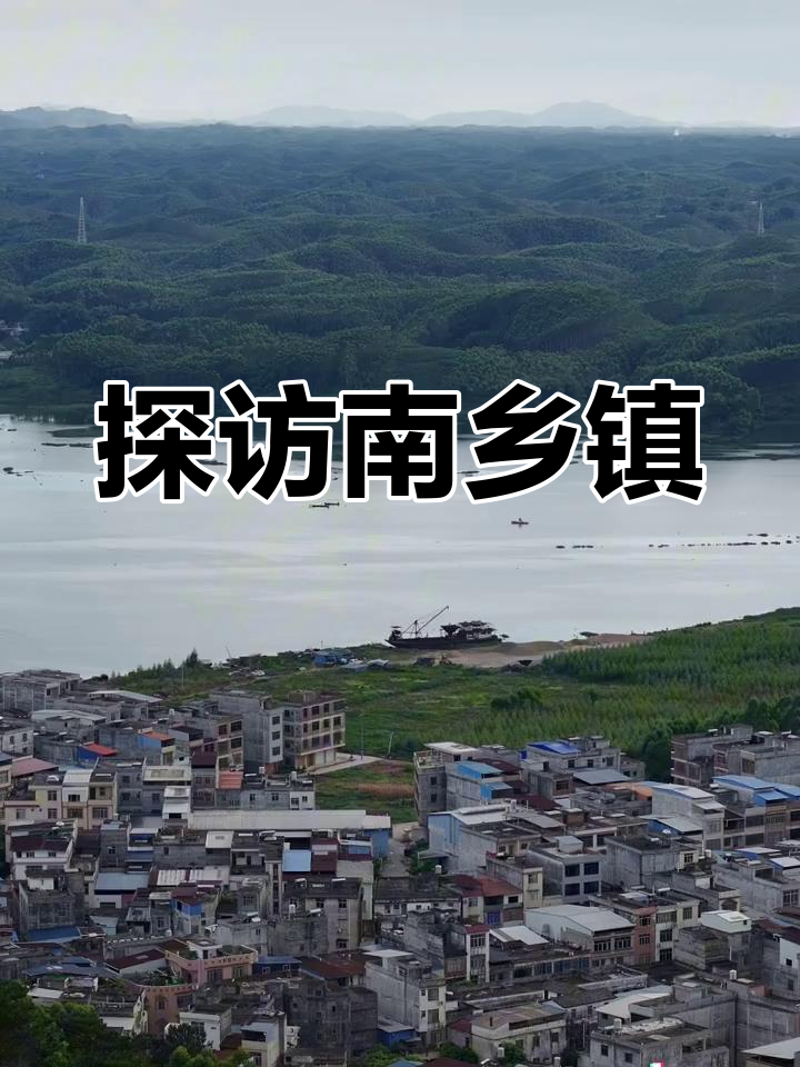 南乡镇:广西大头菜与鱼米之乡的魅力