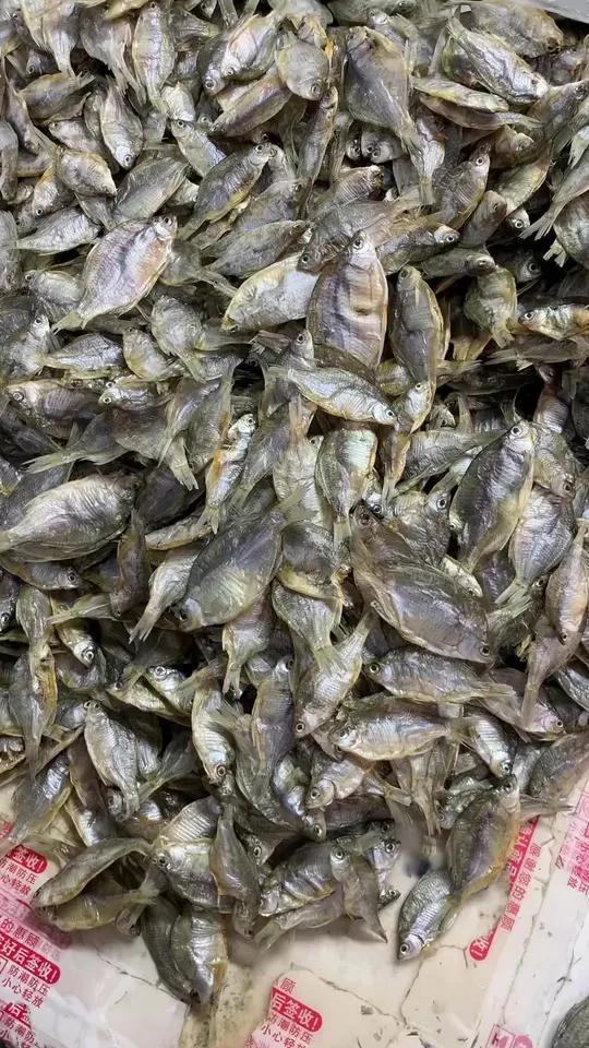鳑鲏鱼干鳑鲏咸鱼鱼干好吃下饭新鲜干净ff